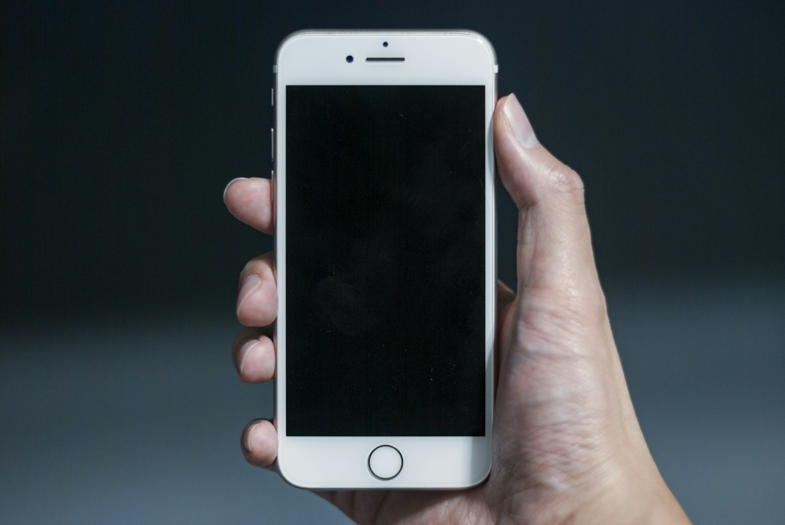 A hand holding a phone